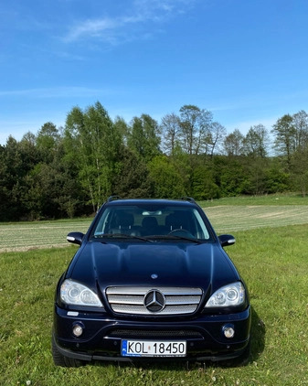 Mercedes-Benz ML cena 38500 przebieg: 242465, rok produkcji 2003 z Wolbrom małe 254